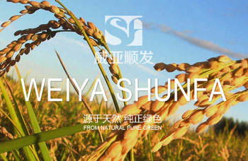 熱烈祝賀江蘇順發(fā)米業(yè)有限公司網(wǎng)站全新上線?。?！